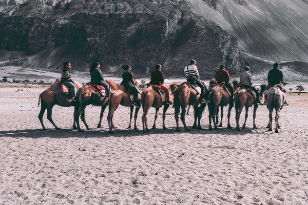 Multi Travel Excursions